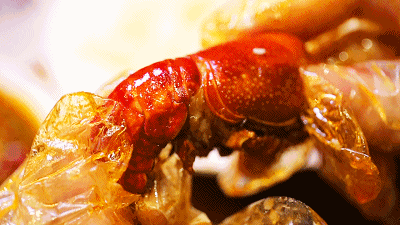 5aecdcf889893a4b42a2a0b50675ffb1.gif