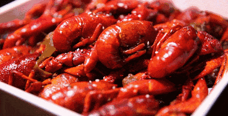 9c8a7010a2943c26ef31df9056fe5ab1.gif