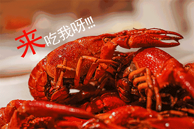 c486ed39f10518ebbbc2c1b5bde50b60.gif