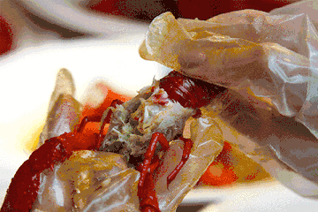 ca226588da918e74c558a5a9e25a91a1.gif