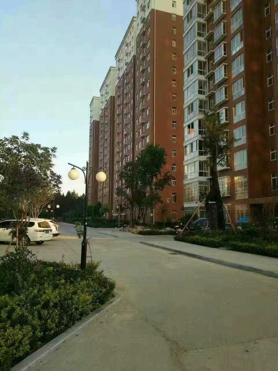 mmexport1556796202328.jpg