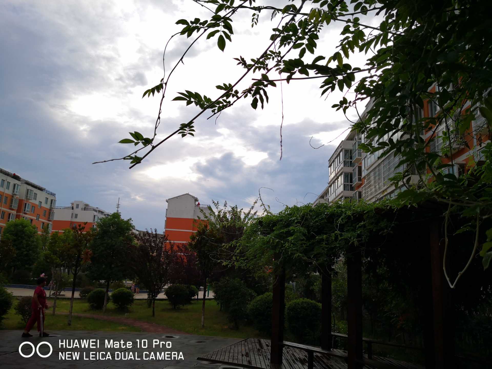 IMG_20190730_175019.jpg