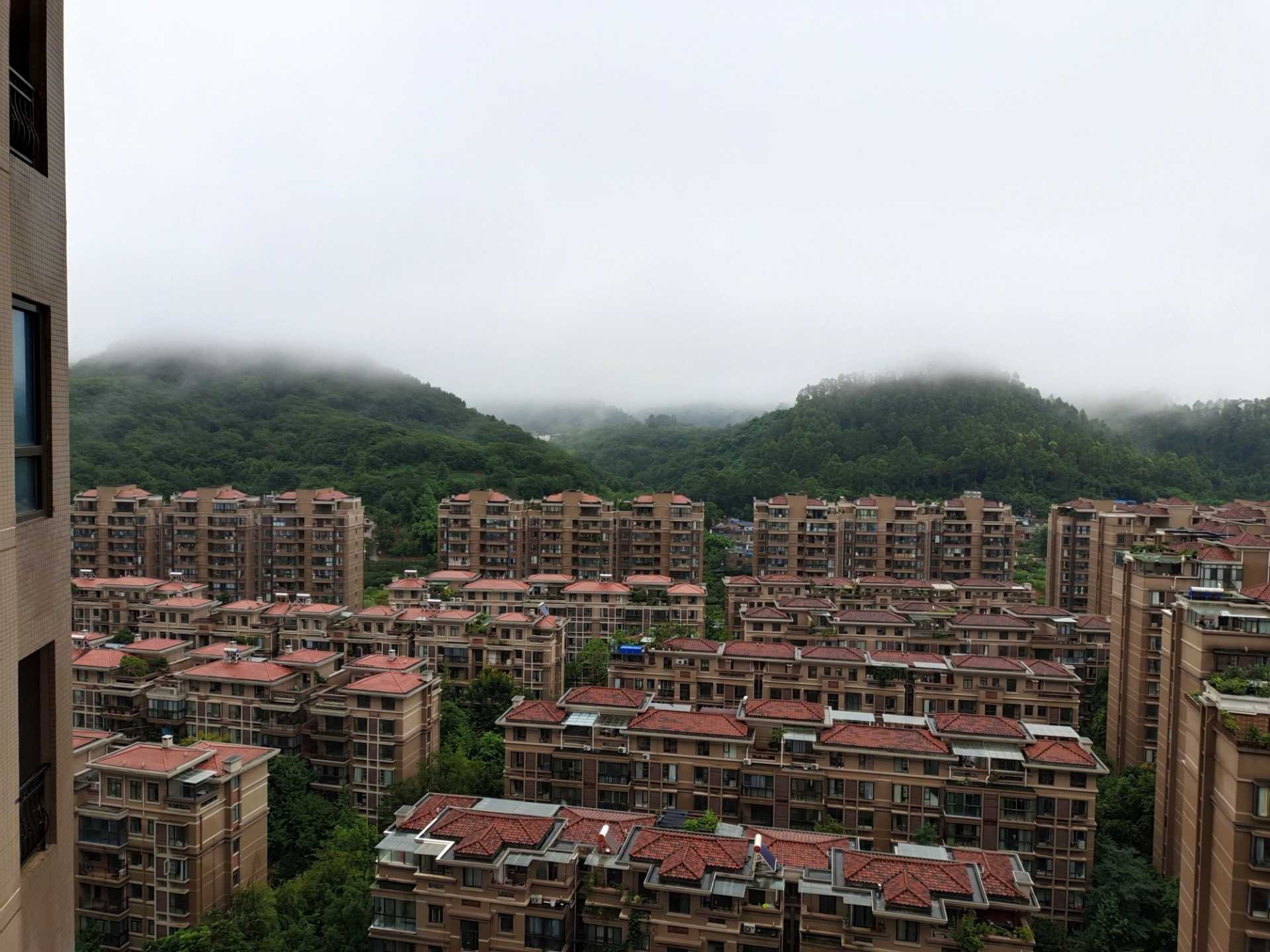IMG_20200816_164749.jpg