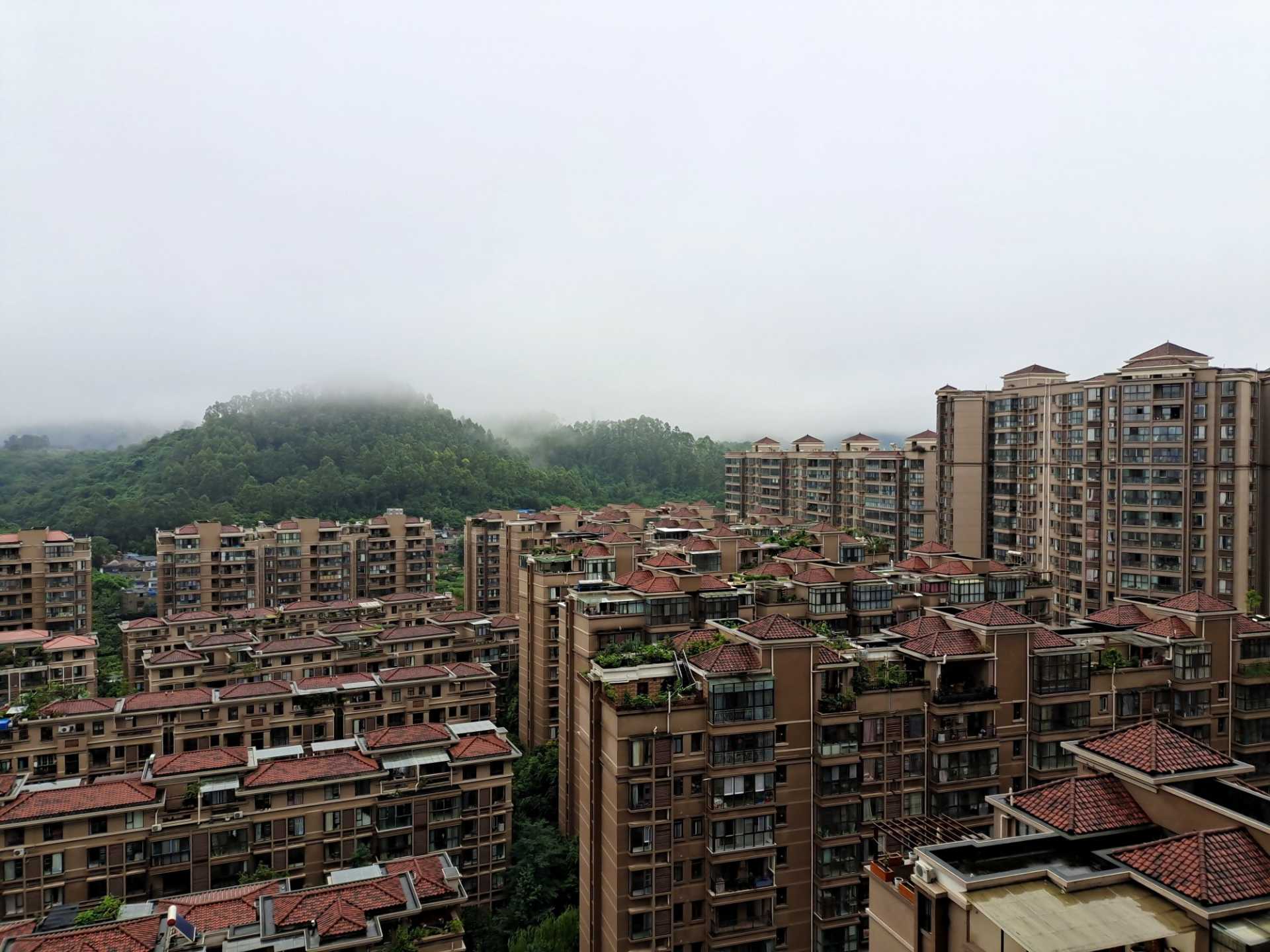 IMG_20200816_164756.jpg