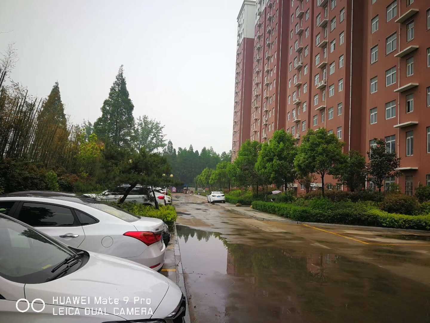 27941856-16DC-4D04-80C3-B7E8505933FF.jpeg
