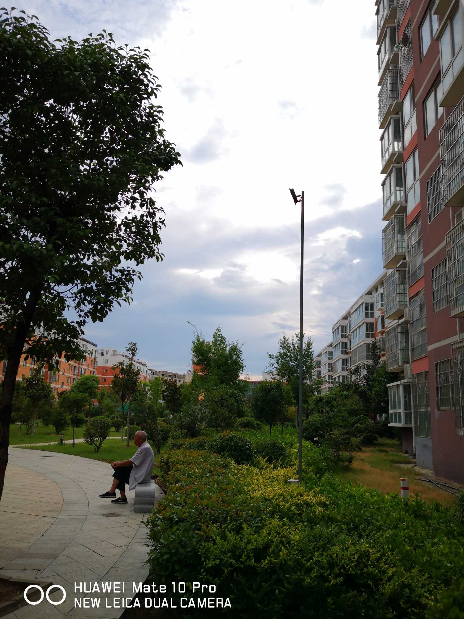IMG_20190730_180124_BURST002.jpg