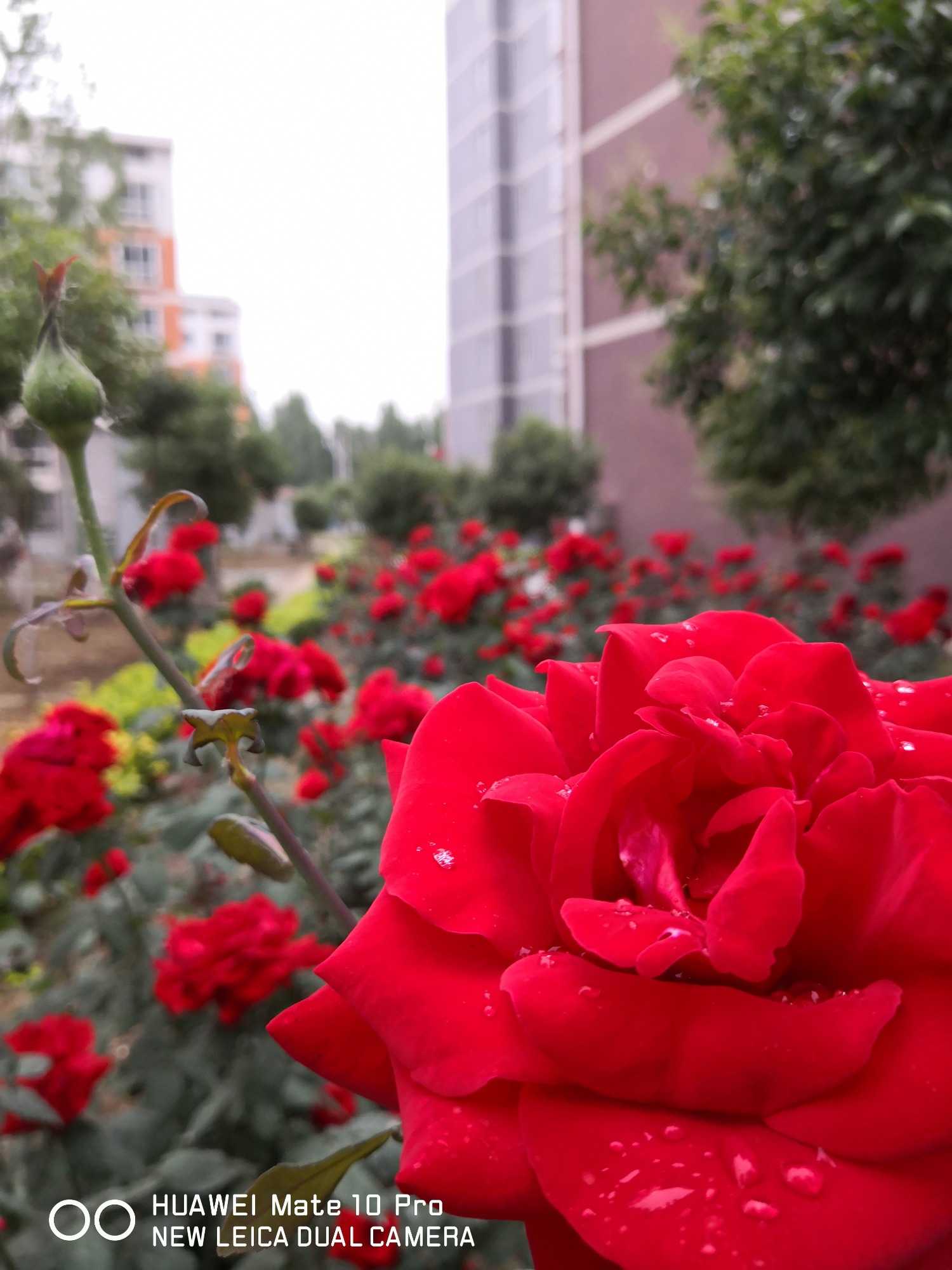 IMG_20190514_182631.jpg