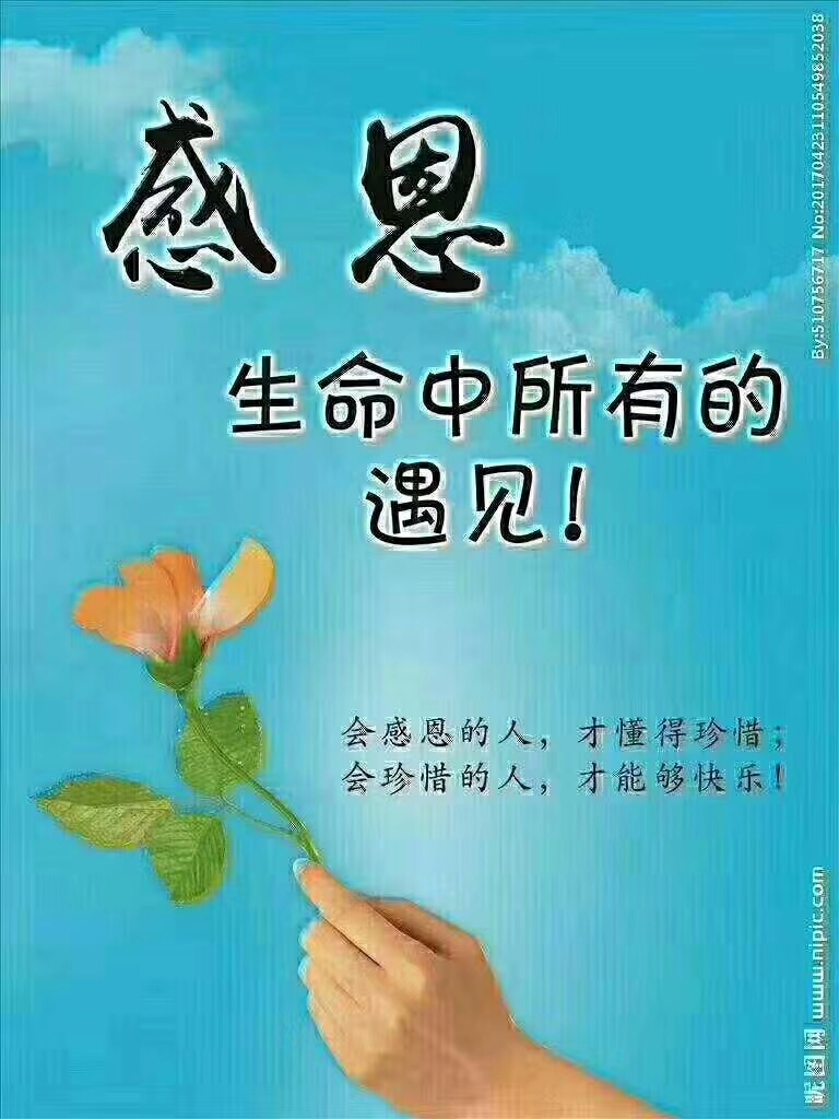 mmexport1587875878420.png