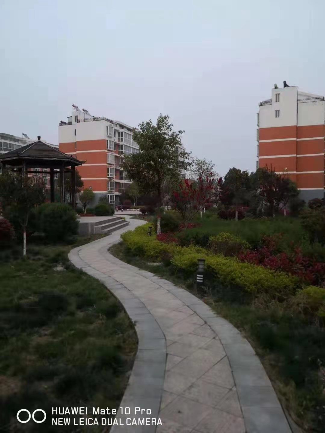 微信图片_20201209085834.jpg