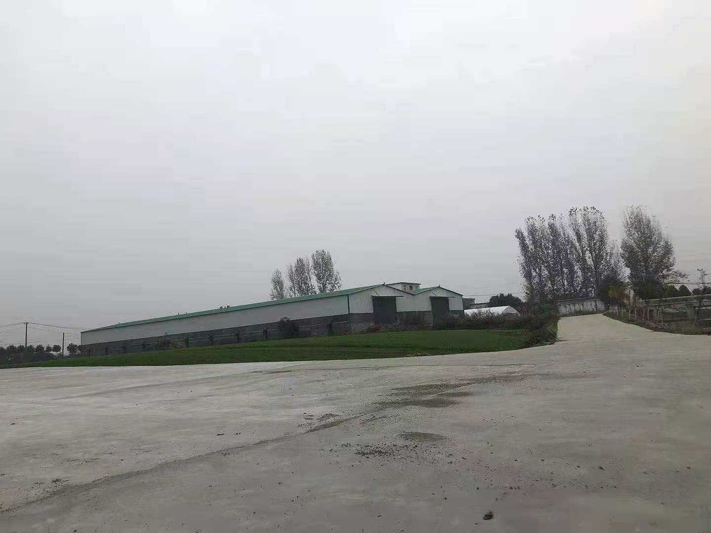 mmexport1607829360493.jpg