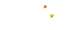 b09f80e17524d04bf8d94656357f48ee.gif