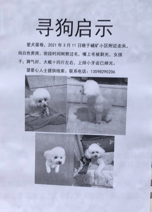 BEBFB31C-788F-44F3-A841-97395731BD55.png