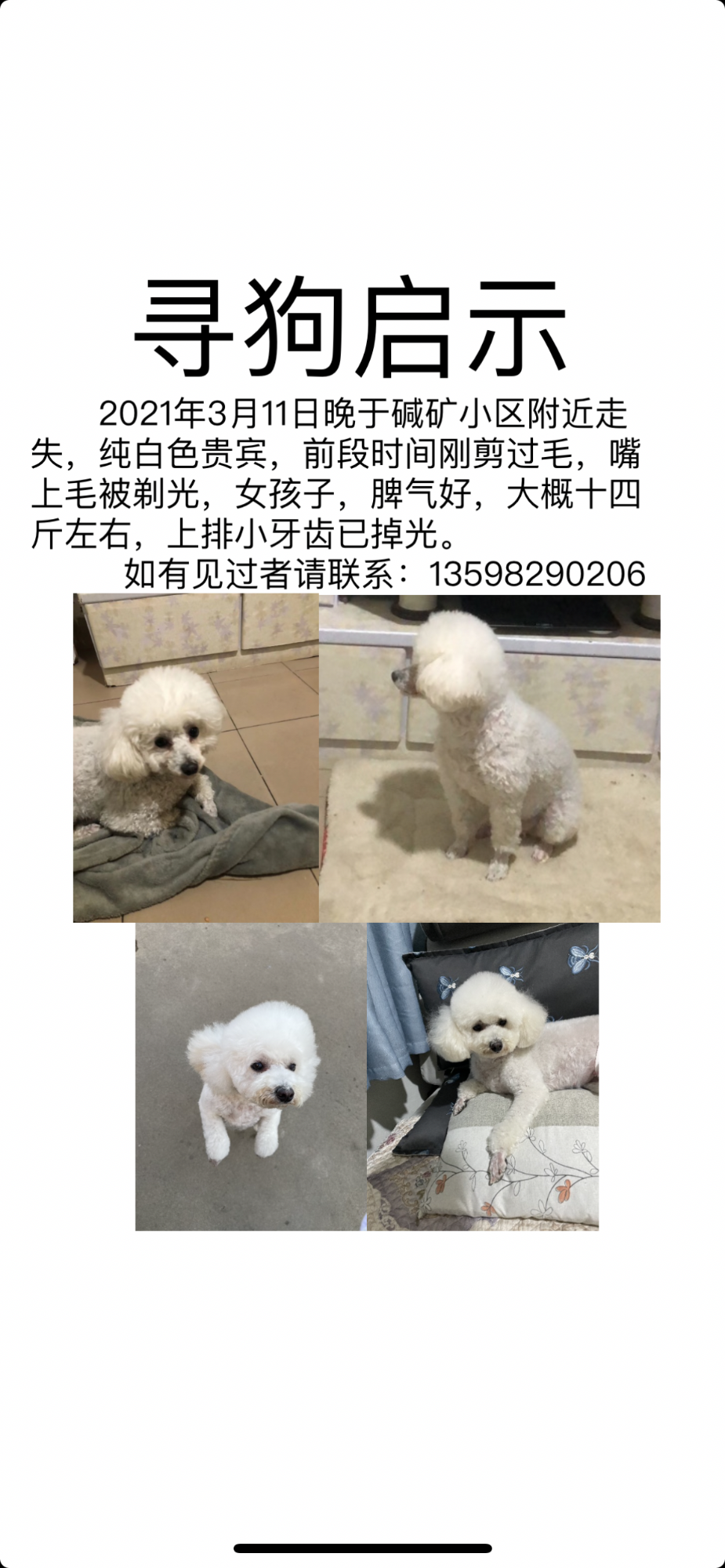 4381ED63-9B74-4A32-8C9C-90511FF87909.png