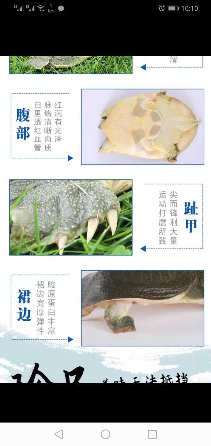 Screenshot_20210405-101005.jpg