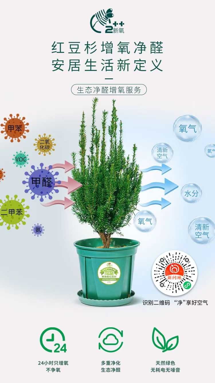mmexport1618018554064.jpg