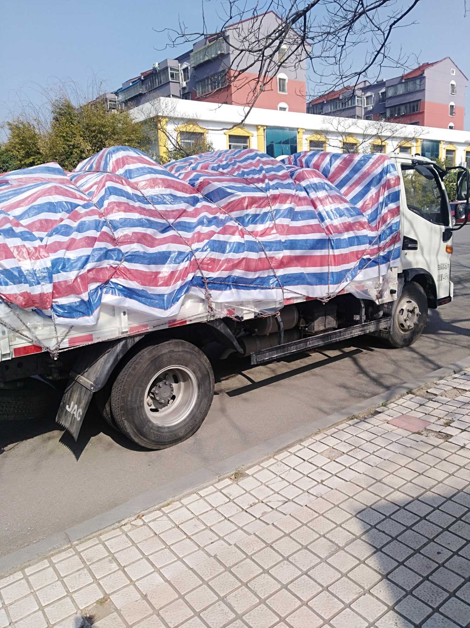 mmexport1615171528363.jpg