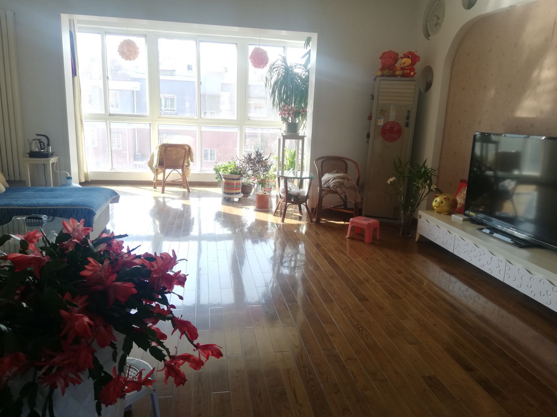 IMG_20211204_192645.jpeg