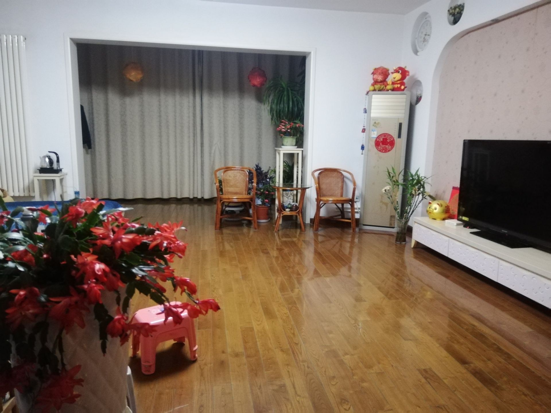 IMG_20211204_192645.jpeg